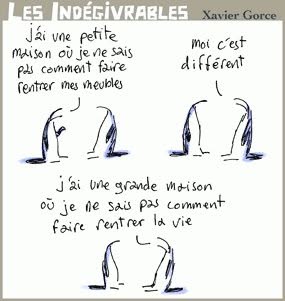 maison.jpg