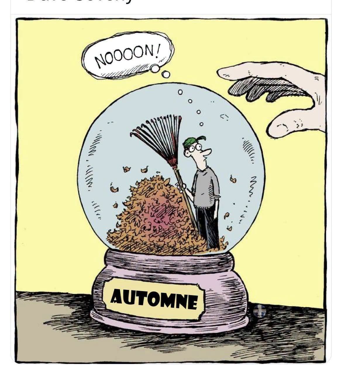 automne.jpeg